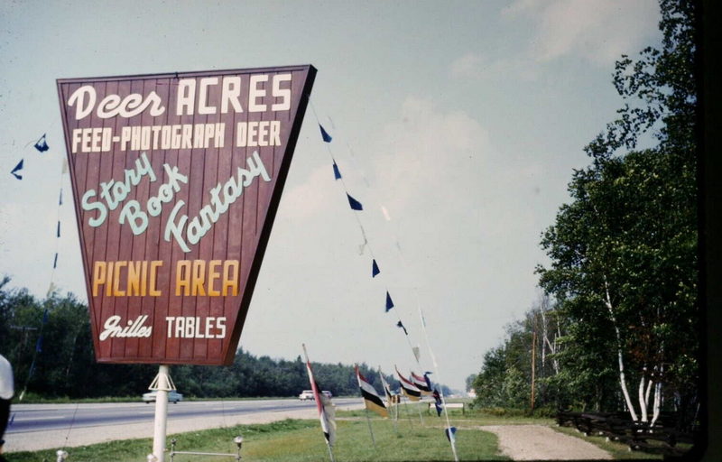 Deer Acres Storybook Amusement Park - Vintage Postcard Of Sign (newer photo)